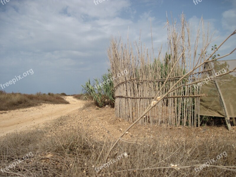 Mediterranean Dune Landscape Dune Landscape Protection