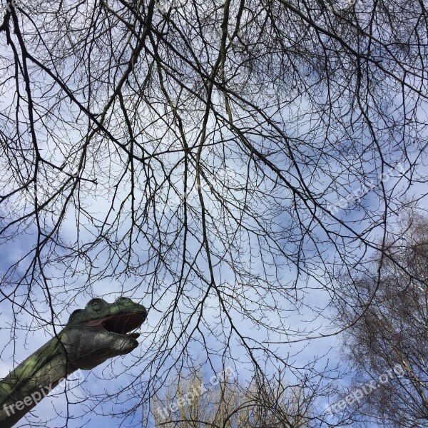 Dinosaur Sky Trees Animal Reptile