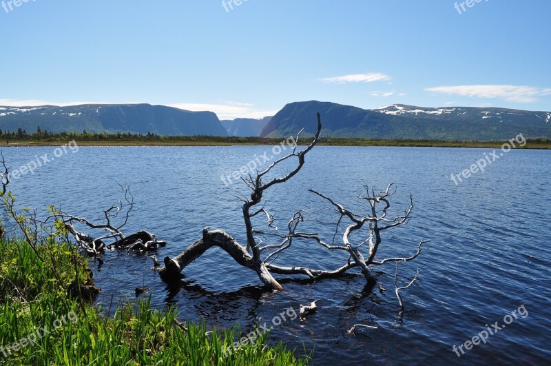 Newfoundland Fjord Canada Nature Landscape