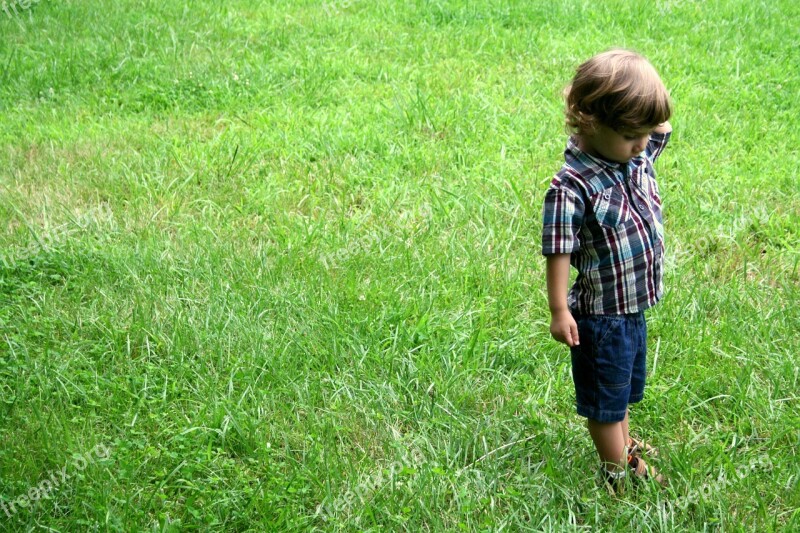 Child Grass Field Boy Green