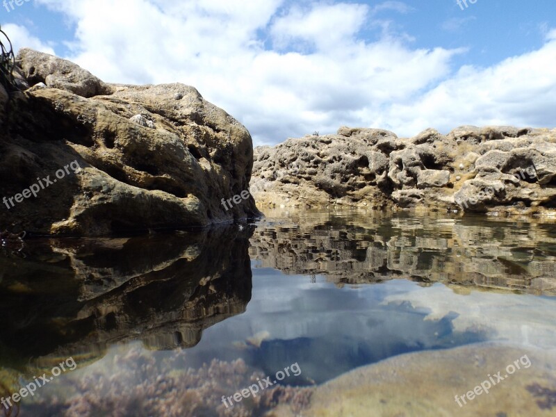 Rock Pools Seashore Seaside Shields Beach Uk