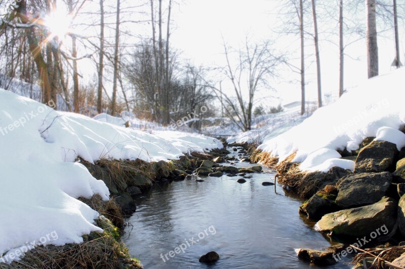 Winter Day The Creek Forest Snow