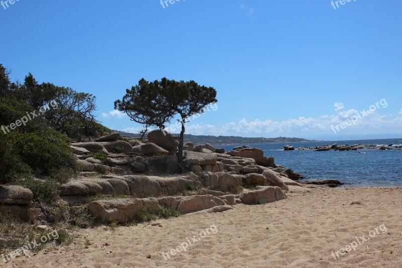 Beach Sea Mediterranean Corsica Free Photos