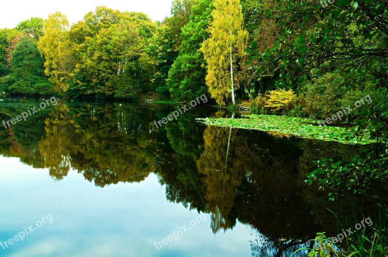 Lake Tree Landscape Nature Water