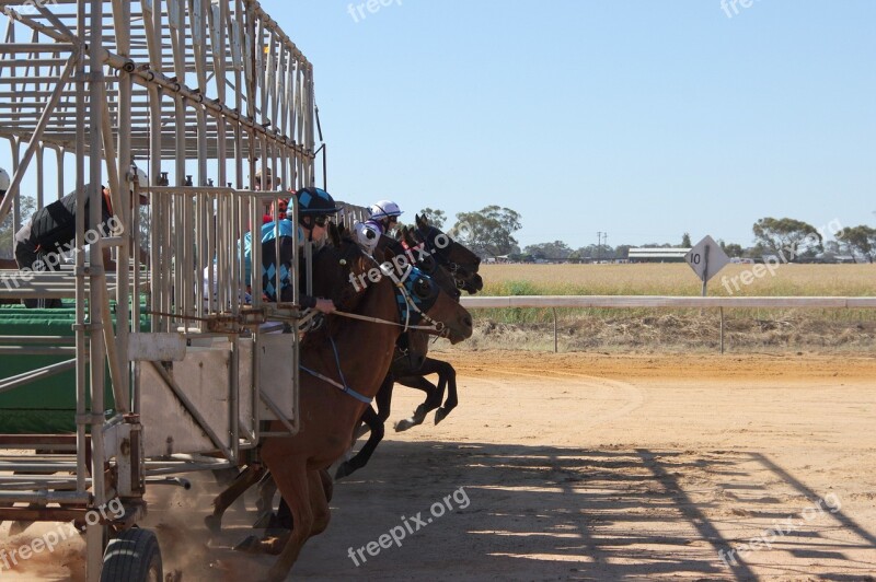 Horse Racing Barrier Jump Free Photos