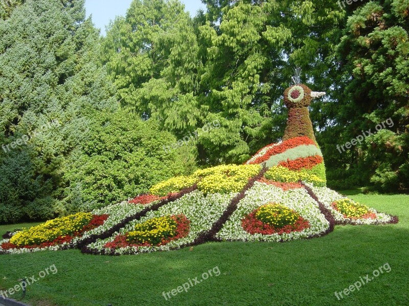 Mainau Germany Island Of Flowers Nature Park