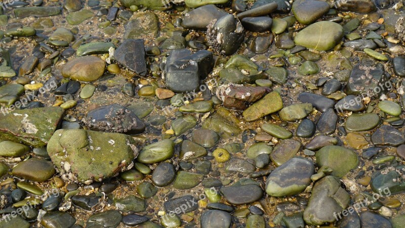 Sea Gravel Boulder Floor Organization