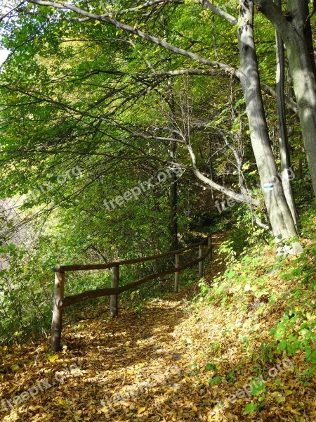 The Founding Fathers Poland The National Park Landscape Autumn