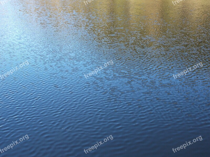 Water Gentle Wind Lake Water Surface Free Photos