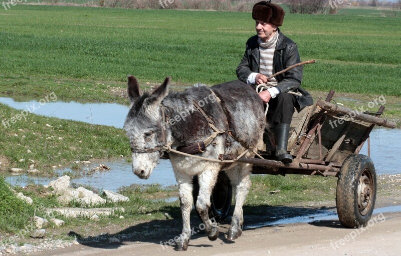 Donkey Cart T Man Water