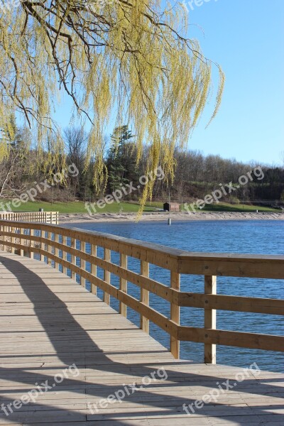 Lake Water Tree Branches Shadow