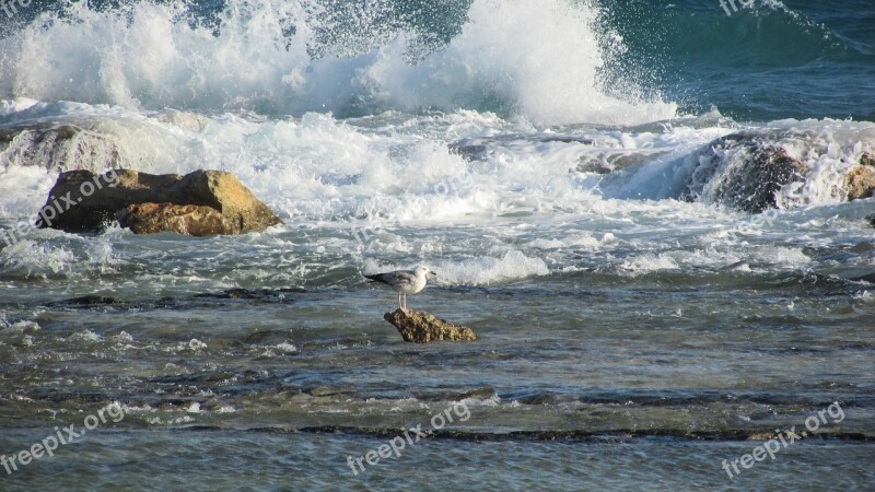 Cyprus Ayia Napa Kermia Beach Rocky Coast Waves