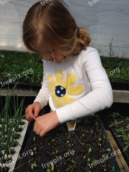 Child Planting Seeds Starting Plants Greenhouse Plant Propagation