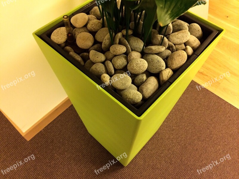 Flowerpot Pebbles Bucket Planters Stones