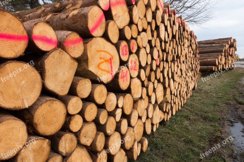 Wood Timber Edge Of The Woods Holzstapel Growing Stock