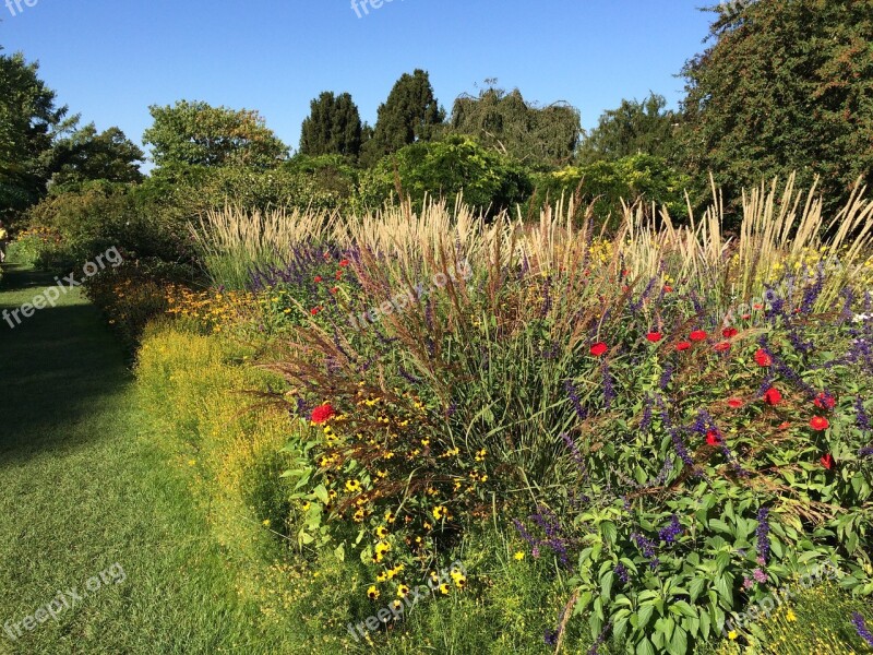 Park Weinheim Flower Wild Nature Herbs