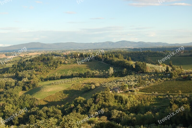 Tuscany Italy Landscape Cypress Mediterranean