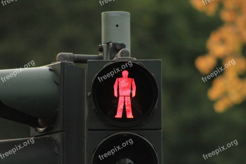 Traffic Light Light Traffic Signal Green