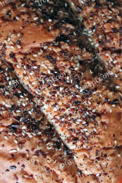 Bread Bakery Sesame Seed Poppy Seed Encrusted