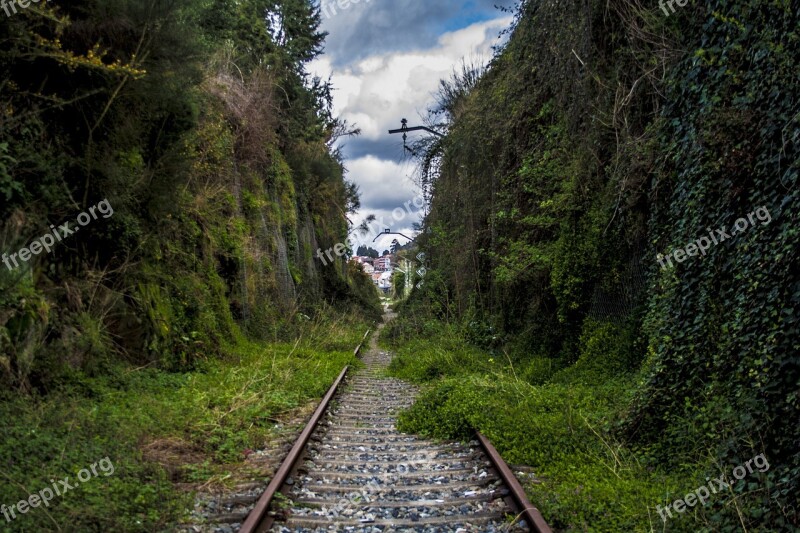 Train Tracks Invaded Train Railway Rails