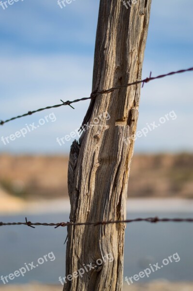 Pile Fence Post Stacheldrat Wood Free Photos