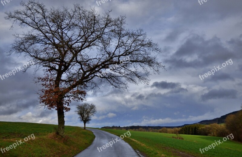 Storm Nature Landscape Trees Clouds