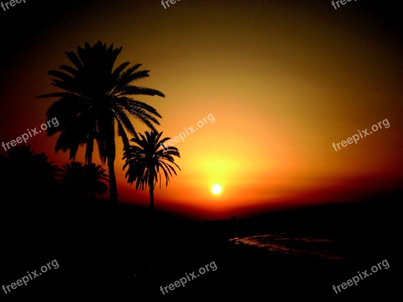 Tunisia Sunset Vacations Abendstimmung Palm