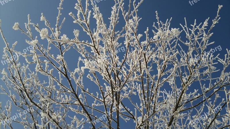 Wood Snow Snow Scene Snow Branches Frigid