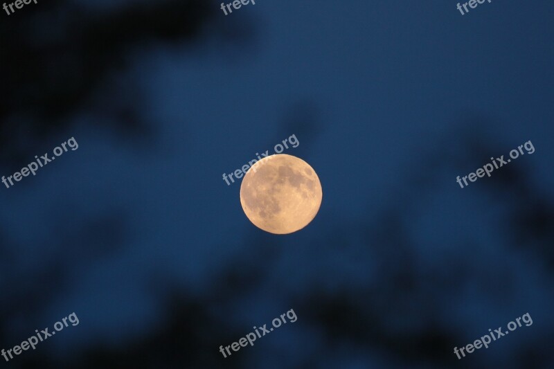 Moon The Fullness Of Night Super Moon Full Moon