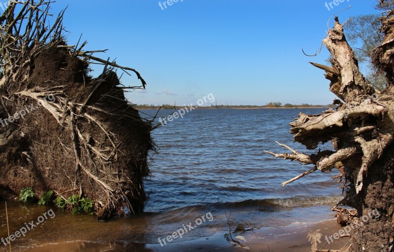 Water The Roots Of The Blue Beach View