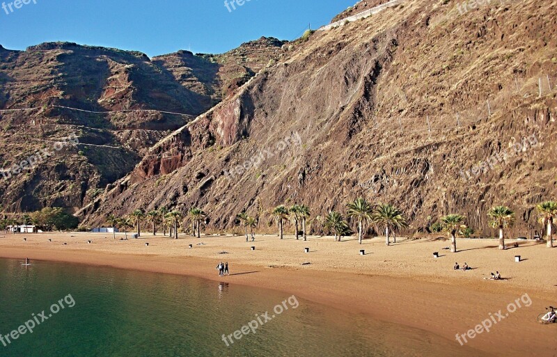 Beach Palm Trees Tenerife Atlantic Teresitas