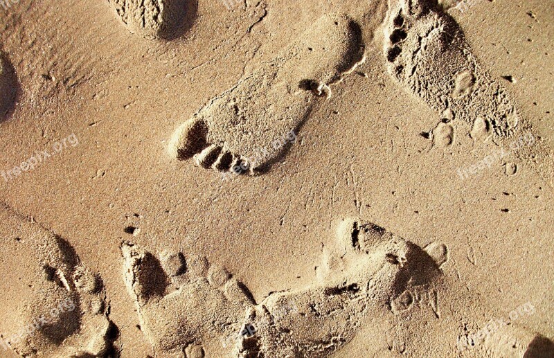 Sand Beach Footprints Traces Footprints In The Sand