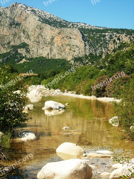 Creek Transparent Water Green Vegetation Rock