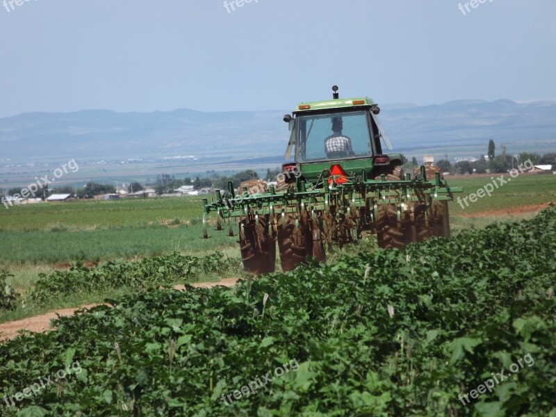 Agriculture Mennonites Mexico Tractor Spring