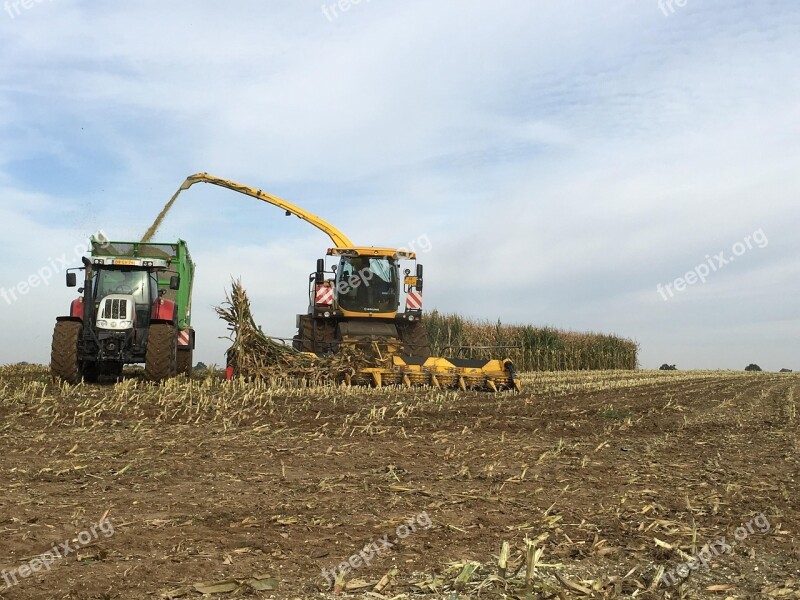 Traktor Harvest Corn Agricultural Vehicles Agriculture