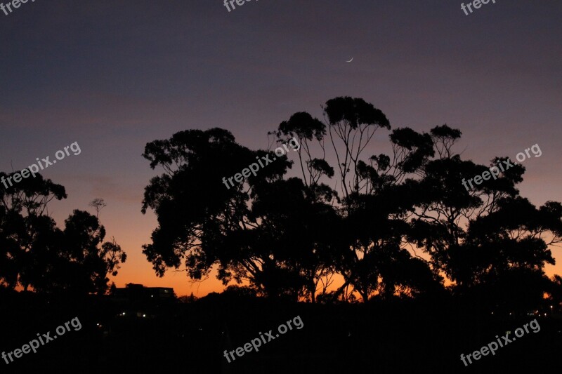 Morning Sunrise Dawn Trees Landscape