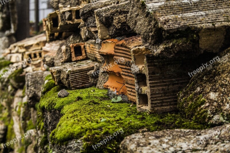 Bricks Pile Of Bricks Moss Texture Wall