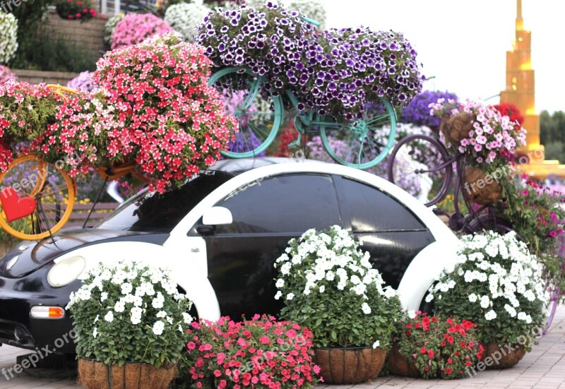 Dubai Miracle Garden Garden Spring Design Landscape