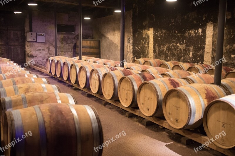 Wine Beaujolais Cellar Wine Barrels Keller