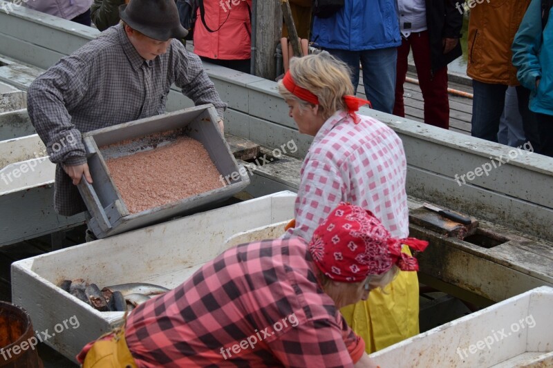 Siglufjoedur North Iceland Herring The Silver Of The Sea Free Photos