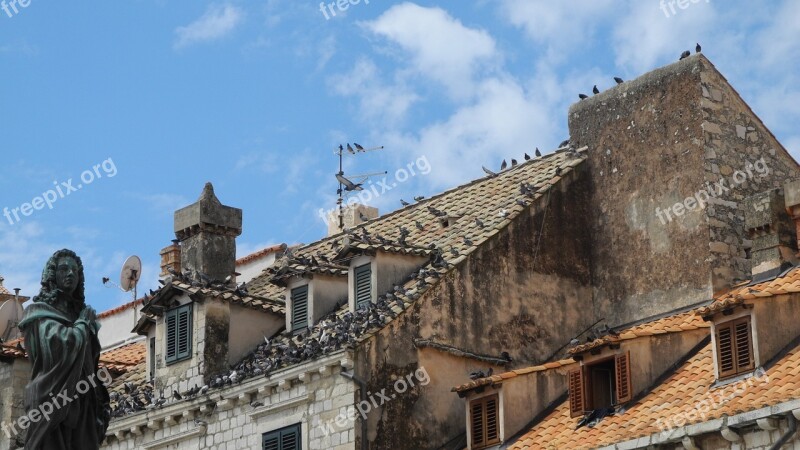 Roof Dove Gable Tile Building