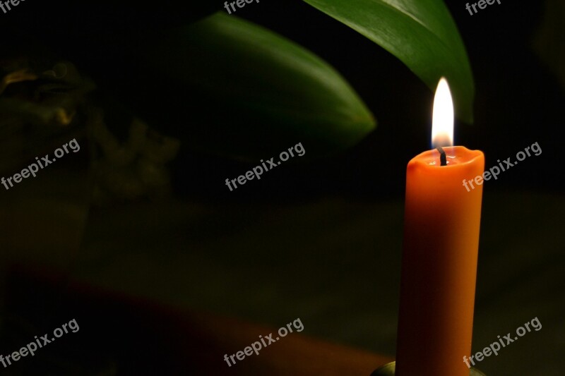 Dark Orange Candle Christmas Light