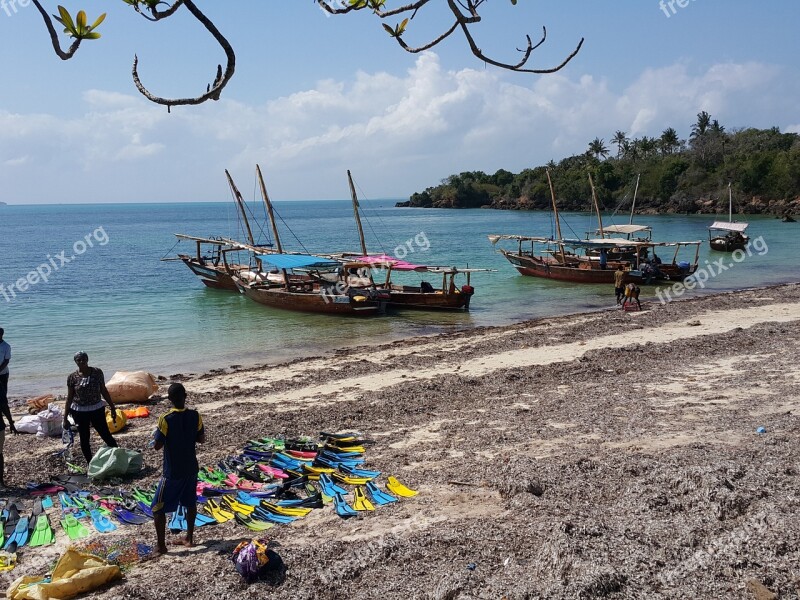 Beach Zanzibar Sea Tropical Africa