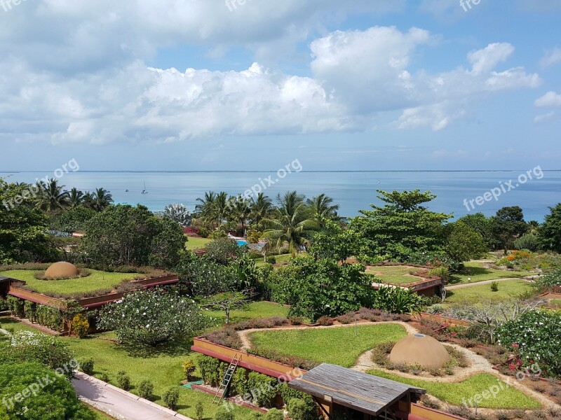 Garden Palm Trees Zanzibar Sky Tropical