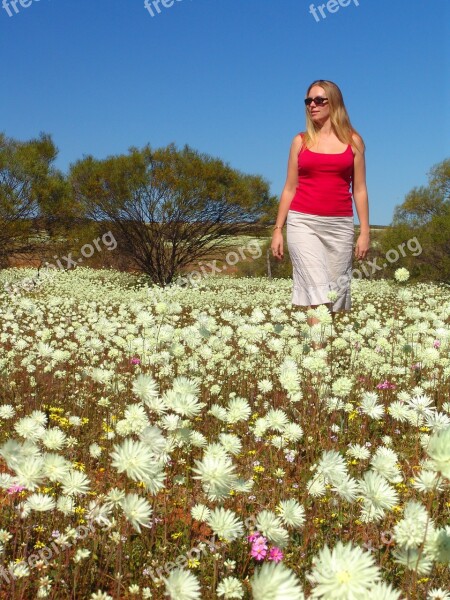 Wildflowers Australia Outback Woman Free Photos