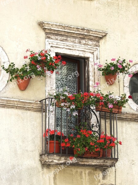 Balcony Flowers Gerani Ornament Architecture