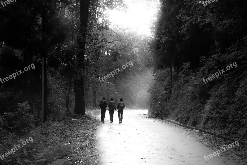 Nature Black White Student Walking Free Photos