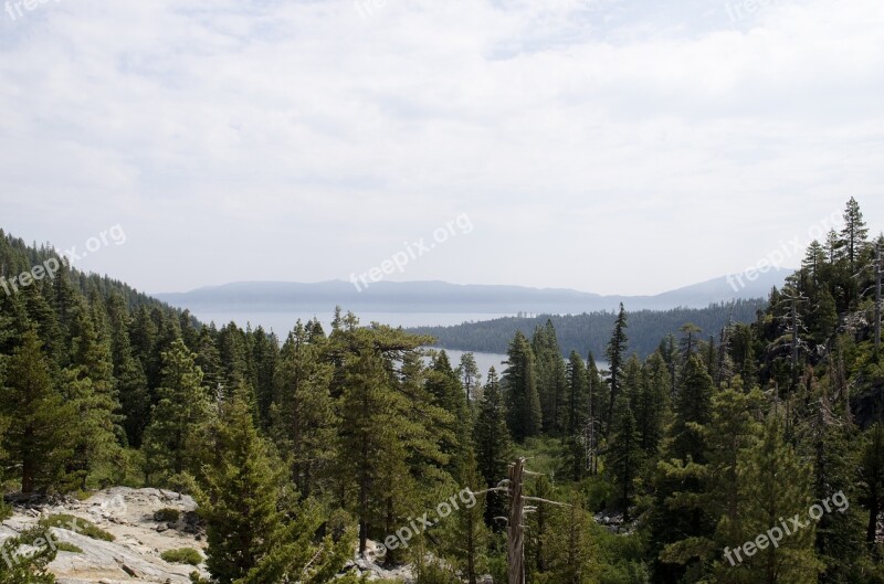 Lake Tahoe California Outdoor Trees