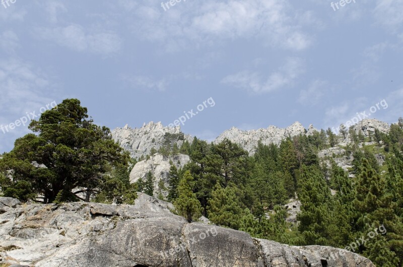 Lake Tahoe California Outdoor Trees