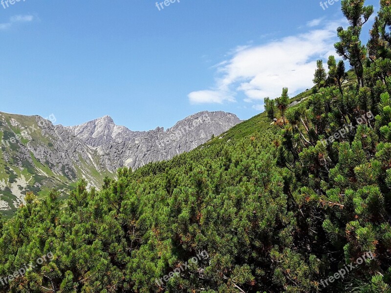 Both Solisko Vysoké Tatry Slovakia Nature Mountains